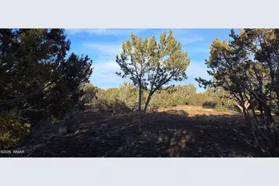 136 County Road 3148, Vernon, AZ 85940 - Photo 3