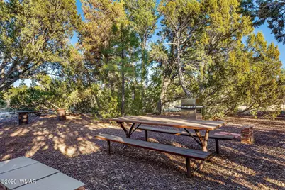 4096 Lonely Pine Lane, Overgaard, AZ 85933 - Photo 21