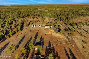 4096 Lonely Pine Ln, Overgaard, AZ 85933 - Photo 25