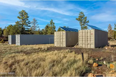 4096 Lonely Pine Lane, Overgaard, AZ 85933 - Photo 23