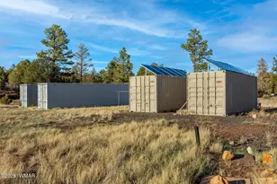 4096 Lonely Pine Ln, Overgaard, AZ 85933 - Photo 23