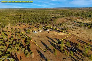 4096 Lonely Pine Ln, Overgaard, AZ 85933 - Photo 29