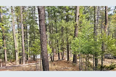 2 County Road 1007, Greer, AZ 85927 - Photo 9