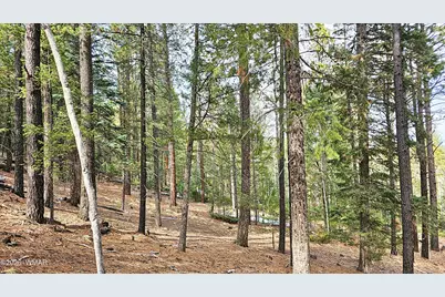 2 County Road 1007, Greer, AZ 85927 - Photo 7