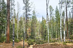 2 County Road 1007, Greer, AZ 85927 - Photo 1