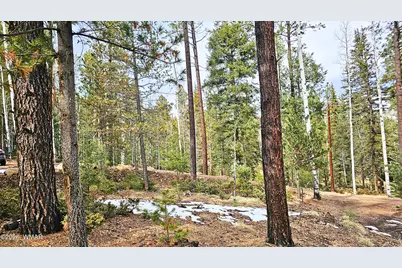 2 County Road 1007, Greer, AZ 85927 - Photo 3