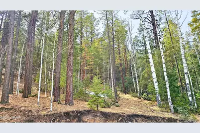 2 County Road 1007, Greer, AZ 85927 - Photo 13