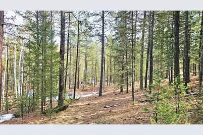 2 County Road 1007, Greer, AZ 85927 - Photo 11