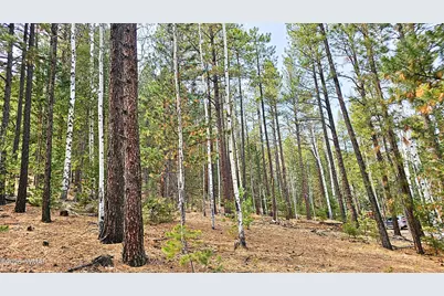 2 County Road 1007, Greer, AZ 85927 - Photo 5