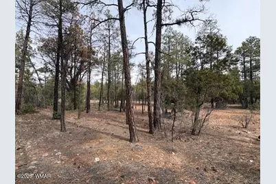 1721 S Knoll Trail, Show Low, AZ 85901 - Photo 7