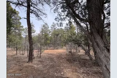 1721 S Knoll Trail, Show Low, AZ 85901 - Photo 3