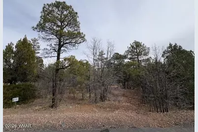 1721 S Knoll Trail, Show Low, AZ 85901 - Photo 1