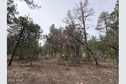 1721 S Knoll Trail, Show Low, AZ 85901 - Photo 11