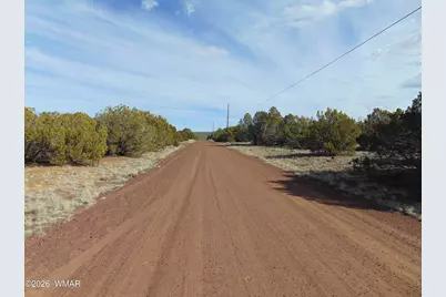 49 County Road, Vernon, AZ 85940 - Photo 13