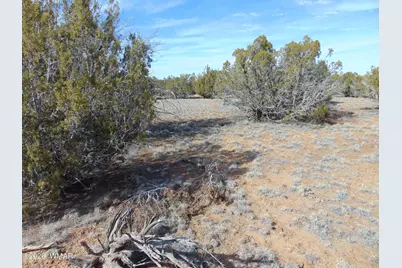 49 County Road, Vernon, AZ 85940 - Photo 7