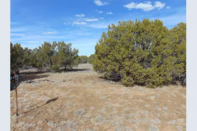 49 County Road, Vernon, AZ 85940 - Photo 1