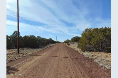 49 County Road, Vernon, AZ 85940 - Photo 11