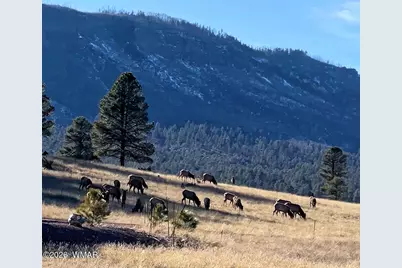 3 County Road N2261, Alpine, AZ 85920 - Photo 39