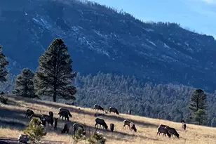 3 County Road N2261, Alpine, AZ 85920 - Photo 39