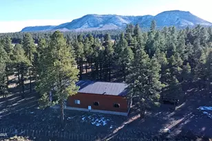 3 County Road N2261, Alpine, AZ 85920 - Photo 1