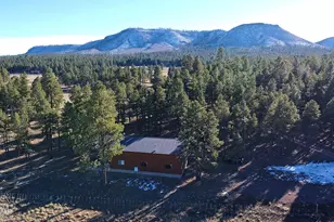 3 County Road N2261, Alpine, AZ 85920 - Photo 35