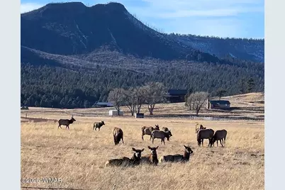 3 County Road N2261, Alpine, AZ 85920 - Photo 3