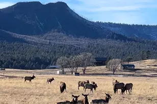 3 County Road N2261, Alpine, AZ 85920 - Photo 3