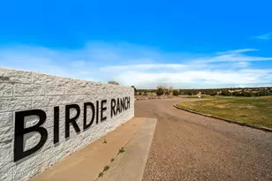 8286 Pinon Dr, Show Low, AZ 85901 - Photo 57