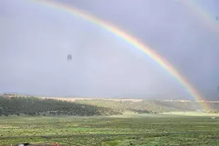 41198 US-180, Nutrioso, AZ 85932 - Photo 47