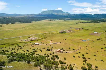 41198 US 180, Nutrioso, AZ 85932 - Photo 39