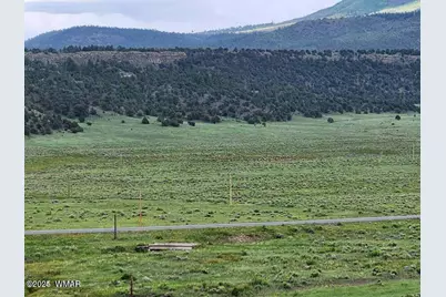 41198 US 180, Nutrioso, AZ 85932 - Photo 49
