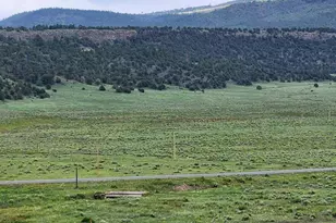 41198 US-180, Nutrioso, AZ 85932 - Photo 49