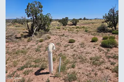 8290 El Rancho Trail, Snowflake, AZ 85937 - Photo 3