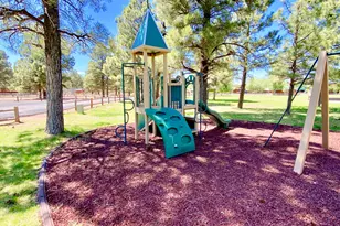 2381 Quarter Horse Trl, Overgaard, AZ 85933 - Photo 31