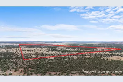 Tbd N 40th Street, Show Low, AZ 85901 - Photo 15