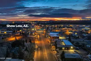 4520 W Tatanka Loop, Show Low, AZ 85901 - Photo 33