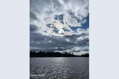 3361 W Hansen, Show Low, AZ 85901 - Photo 41