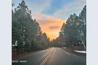 3361 W Hansen, Show Low, AZ 85901 - Photo 47