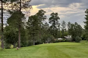 3361 W Hansen, Show Low, AZ 85901 - Photo 35