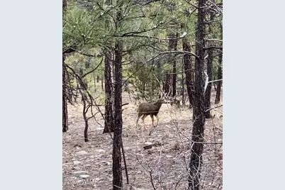 1100 S Pinon Circle, Show Low, AZ 85901 - Photo 37