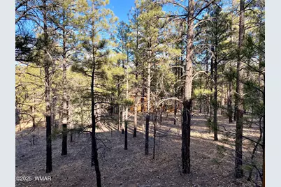 1100 S Pinon Circle, Show Low, AZ 85901 - Photo 29