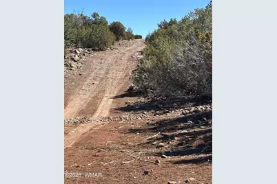 19 County Road 8230, Concho, AZ 85924 - Photo 13