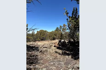 19 County Road 8230, Concho, AZ 85924 - Photo 11