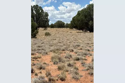 19 County Road 8230, Concho, AZ 85924 - Photo 7