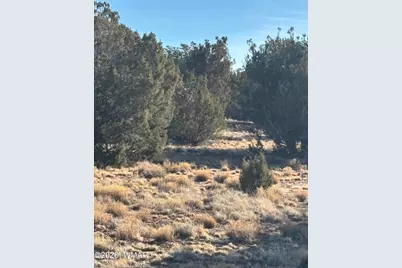 22 County Road 3048 Road, Concho, AZ 85924 - Photo 7