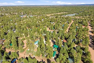 2880 Paint Pony Ln, Overgaard, AZ 85933 - Photo 39