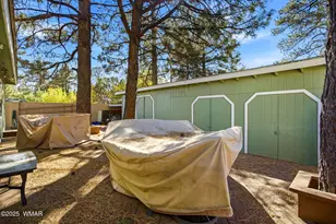 2880 Paint Pony Ln, Overgaard, AZ 85933 - Photo 31