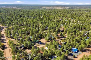 2880 Paint Pony Ln, Overgaard, AZ 85933 - Photo 37