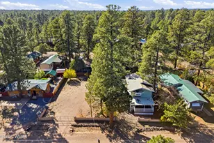 2880 Paint Pony Ln, Overgaard, AZ 85933 - Photo 35