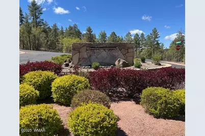 1491 W Snow Creek Trail, Show Low, AZ 85901 - Photo 53